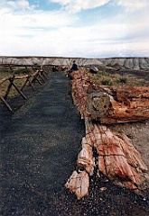 1997 - USA 139 (Petrified Forest National Park, AZ)